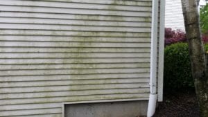 North New Jersey siding-softwash-before