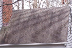 Roof Washing Morristown NJ