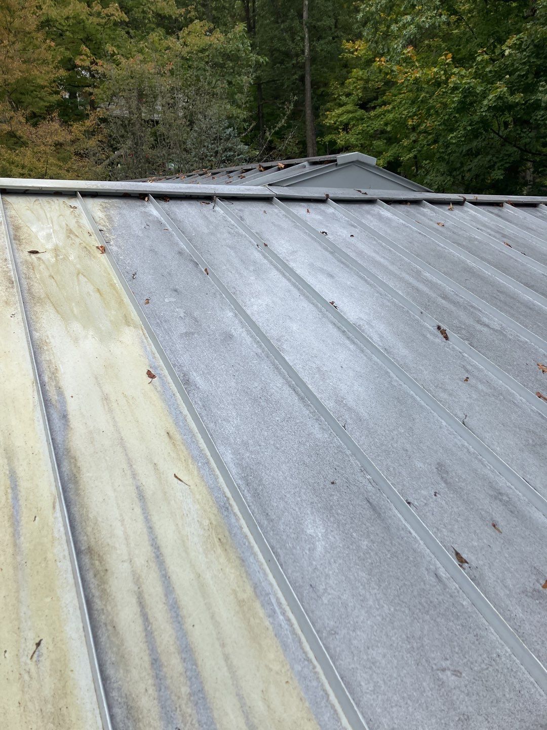 soft wash roof cleaning