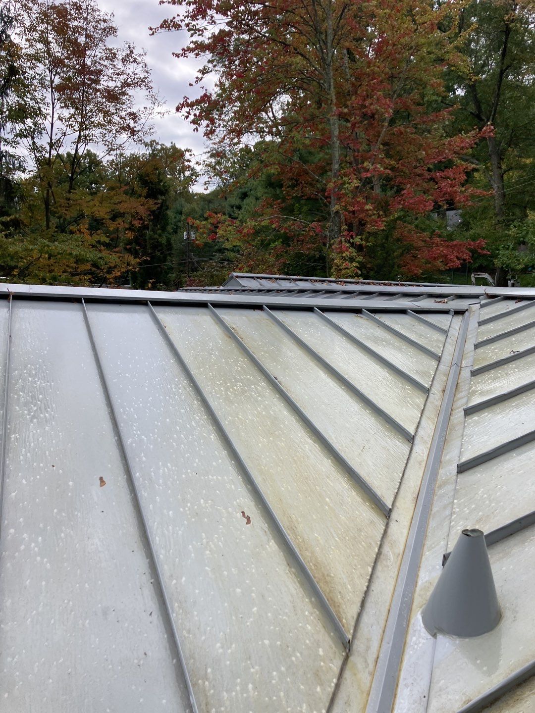 soft wash roof cleaning